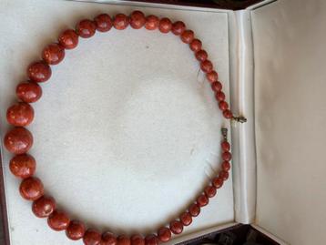 Bloedkoraal Ketting nieuw beschikbaar voor biedingen