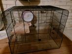 Dwerg( Hamsterkooi ) met glazenbak, Dieren en Toebehoren, Knaagdieren en Konijnen | Hokken en Kooien, Ophalen