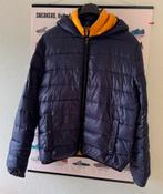 Heren winterjas Tommy Hilfiger, maat L, Maat 52/54 (L), Blauw, Tommy Hilfiger, Ophalen of Verzenden