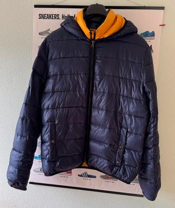 Heren winterjas Tommy Hilfiger, maat L beschikbaar voor biedingen
