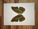 Butterfly print, Kunst, Ophalen of Verzenden