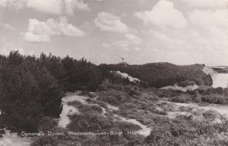 16801 Domanials Duinen Westenschouwen -  Burgh Haamstede, Verzamelen, Ansichtkaarten | Nederland, Gelopen, Zeeland, 1940 tot 1960