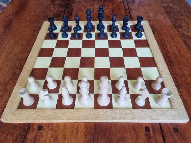 Vintage schaak- en damspel, Hobby en Vrije tijd, Gezelschapsspellen | Bordspellen, Gebruikt, Ophalen of Verzenden