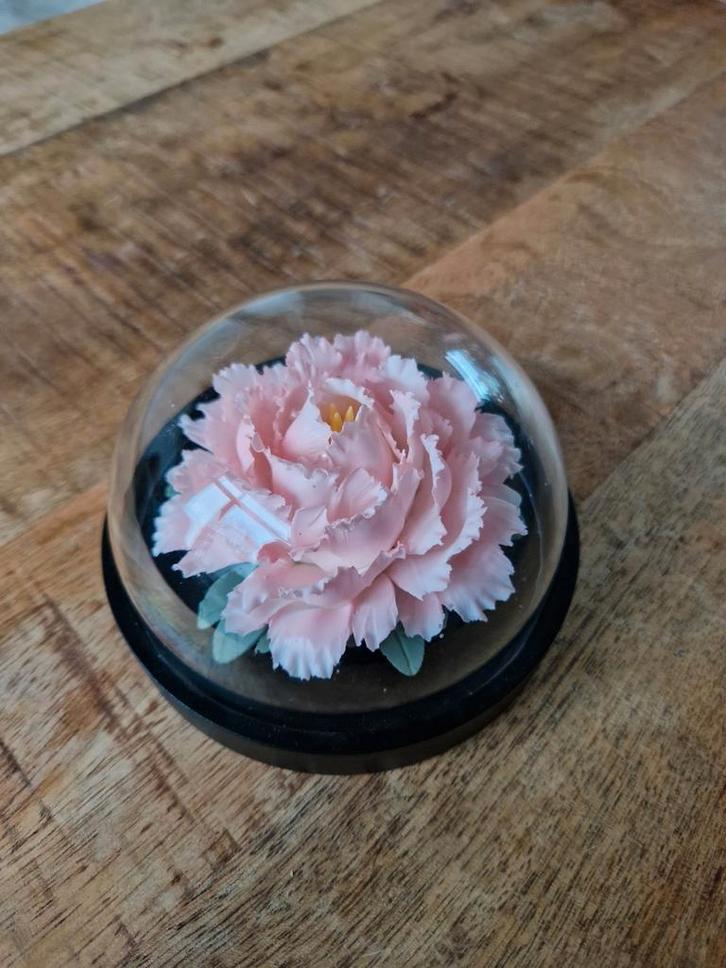 Keramische Pioenroos in Stofvrije Bol, Sieraden, Tassen en Uiterlijk, Broches, Nieuw, Overige materialen, Roze, 4 tot 7 cm, Ophalen of Verzenden