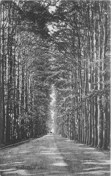 (387-218-013) De Steeg Middachter Allee beschikbaar voor biedingen