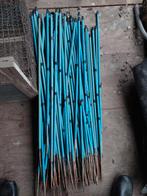 Schrikdraadpaaltjes, Dieren en Toebehoren, Schapen, Geiten en Varkens, Meerdere dieren, Schaap