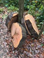 4 grote schijven Amerikaanse eik, Ophalen, Eiken, Overige typen, 50 mm of meer