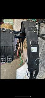 Rider pro longeer singel pony