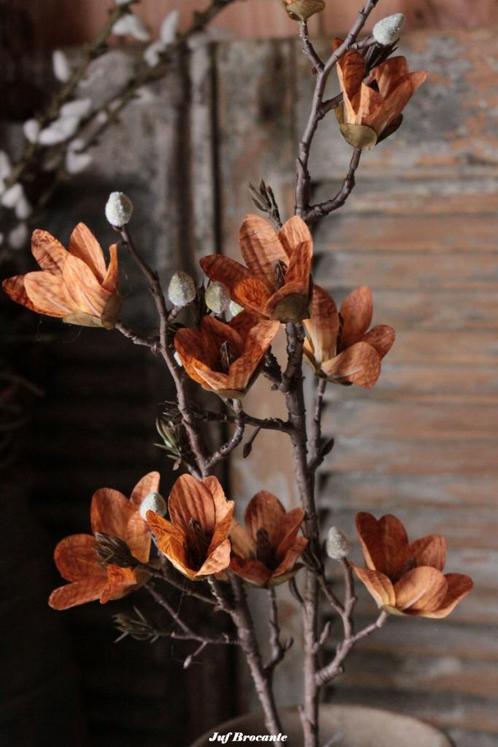 zijden magnoliatak in de kleur white, orange, Huis en Inrichting, Woonaccessoires | Overige, Nieuw, Ophalen of Verzenden