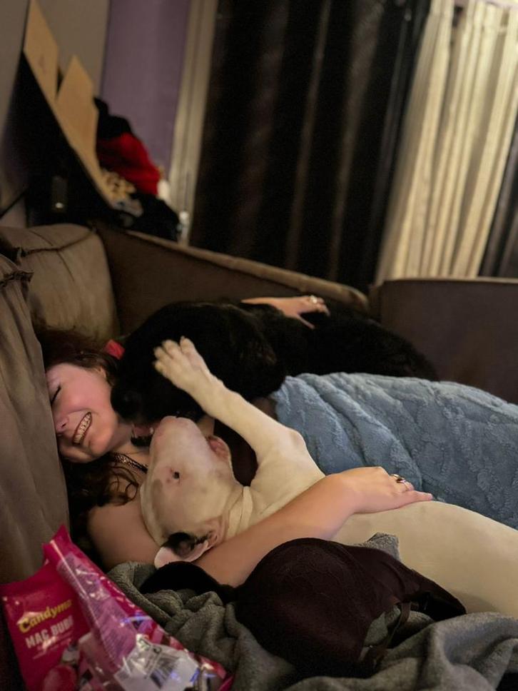 Honden/katten oppas aangeboden!!, Dieren en Toebehoren, Honden-accessoires, Ophalen of Verzenden