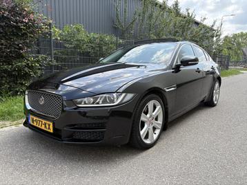 Jaguar XE 2.0 Portfolio / AUTOMAAT / LEER / NAVI / PANORAMAD beschikbaar voor biedingen