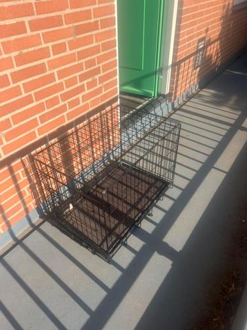 Honden bench medium beschikbaar voor biedingen