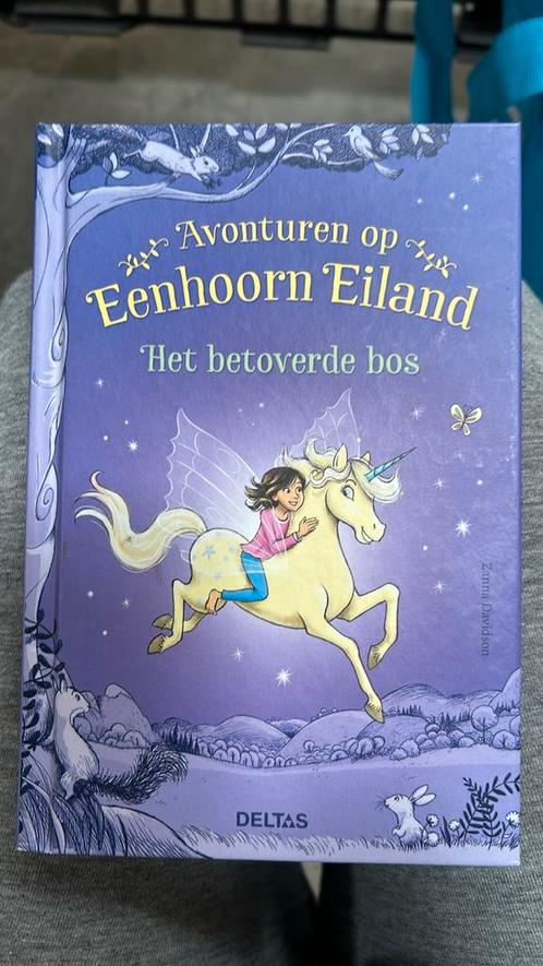 Het betoverde bos van Zanna Davidson, Boeken, Kinderboeken | Jeugd | onder 10 jaar, Zo goed als nieuw, Ophalen of Verzenden