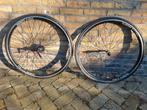 Handgespaakte racewielen Pacenti DT Swiss, Ophalen of Verzenden, Gebruikt, Racefiets, Wiel