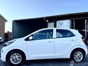 Kia Picanto 1.0 DPi 67pk DynamicLine 5drs - 49dkm nap - came beschikbaar voor biedingen