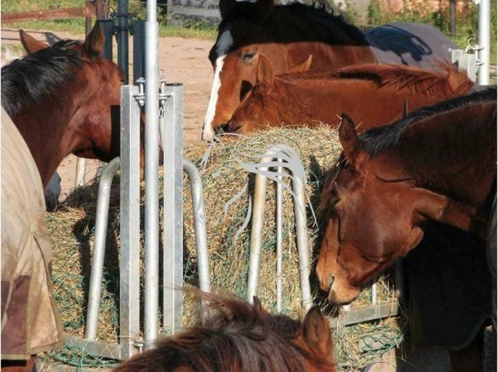 Voerruif, Hooiruif, Voerruiven, Ruiven, Ruif, Hooi, Dieren en Toebehoren, Stalling en Weidegang, Opfok, Stalling, Weidegang, Toebehoren