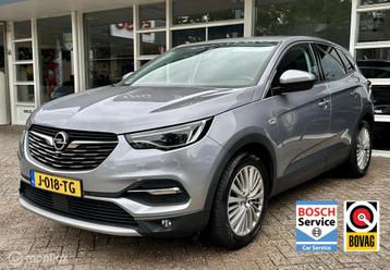Opel Grandland X 1.2 Turbo Innovation Led, Climat, Camera, K beschikbaar voor biedingen