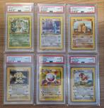PSA 10 Dutch 1st edition Base Set, Ophalen of Verzenden, Nieuw, Meerdere kaarten