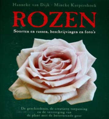 Rozen. Soorten en rassen - beschrijvingen en foto's beschikbaar voor biedingen