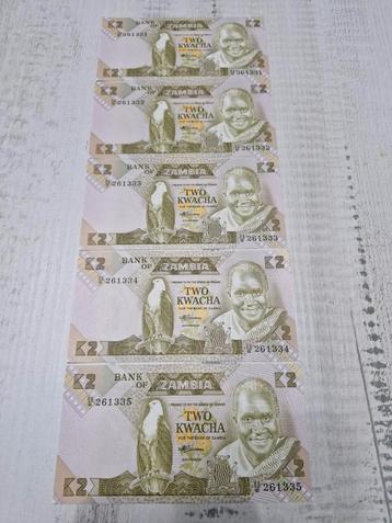 Zambia 2 Kwacha 1980-1987 UNC (5 stuks) beschikbaar voor biedingen