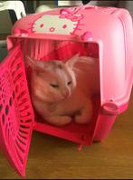 Hello Kitty Reismand / Transportbox, Dieren en Toebehoren, Ophalen of Verzenden