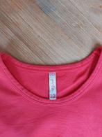 Mooi Roze Longsleeve/Shirt! Didi-girls, maat 12 (146/152), Meisje, Ophalen of Verzenden, Zo goed als nieuw, Didi