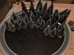 32 kerstboompjes, Ophalen of Verzenden, Zo goed als nieuw