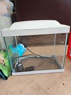 Aquarium klein 20L, Ophalen of Verzenden, Zo goed als nieuw, Leeg aquarium