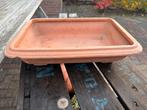 Terracotta bloemschaal/pot/kweekschaal/bonsai, Steen, Minder dan 30 cm, Rond, Ophalen of Verzenden