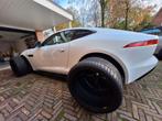 Pirelli Sottozero 20 inch winterbanden Jaguar F-TYPE, Ophalen, Gebruikt, 295 mm, Winterbanden