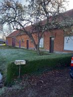 boerderij, hoeve, met weiland en gronden, Dieren en Toebehoren