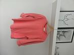 Trui Fabiënne Chapot S, Kleding | Dames, Truien en Vesten, Fabienne Chapot, Ophalen of Verzenden, Zo goed als nieuw, Maat 36 (S)
