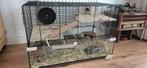 HAMSTER-MUIZENkooi met of zonder 2 muisjes en toebehoren, Dieren en Toebehoren, Ophalen