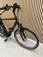 Pegasus Siena E7F Plus Bosch Active Line Plus 500Wh 60CM 223, Overige merken, Ophalen of Verzenden, Zo goed als nieuw, 59 cm of meer