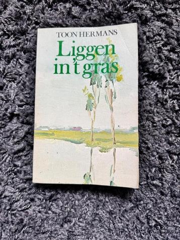 Liggen in het gras - Toon Hermans beschikbaar voor biedingen
