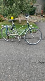 Koga Miyata Forest Mixed, Meer dan 20 versnellingen, Ophalen, Overige merken, 53 tot 56 cm