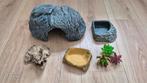 terrarium inrichting baardagaam gekko slang kameleon, Dieren en Toebehoren, Ophalen, Zo goed als nieuw