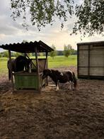Paardenstal te huur, Dieren en Toebehoren