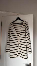 Vest Zizzi streep zwart wit L, Kleding | Dames, Grote Maten, Zizzi, Zwart, Trui of Vest, Ophalen of Verzenden