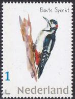 Michelle Dujardin – Spechten – bonte specht – MNH, Postzegels en Munten, Verzenden, Na 1940, Postfris