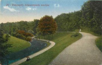 (380-191-011) Den Haag  Scheveningsche Boschjes beschikbaar voor biedingen