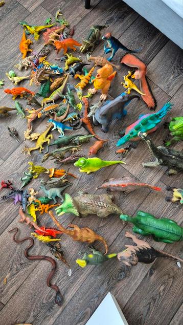 Grote verzameling Dinosauriërs  beschikbaar voor biedingen