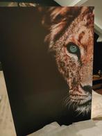 Leeuw afbeelding 70 x 100 cm, Nieuw, Ophalen of Verzenden