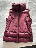 Pikeur bodywarmer, Dieren en Toebehoren, Paardrijkleding, Dressuur, Ophalen of Verzenden, Zo goed als nieuw, Dames
