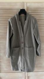 Studio Anneloes Vest Lichtgrijs Maat L, Kleding | Dames, Truien en Vesten, Ophalen, Studio Anneloes, Maat 42/44 (L), Zo goed als nieuw
