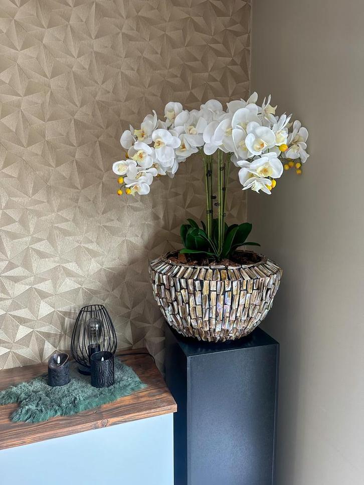 Schelpenvaas, Huis en Inrichting, Woonaccessoires | Kunstplanten en Kunstbloemen, Nieuw, Ophalen