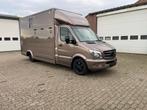 Mercedes Sprinter Paardenwagen, horstruck Hengstenuitvoering, Ophalen, Nieuw, Overige typen