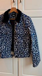 Shoeby Bomberjas - L, Maat 38/40 (M), Blauw, Ophalen of Verzenden, Jasje