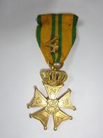 Oude Vierdaagse medaille NBvLO, Nederland, Overige soorten, Ophalen of Verzenden, Lintje, Medaille of Wings