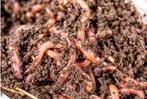 Gevraagd gratis
compost en of tijger wormen, Ophalen, Compostbak